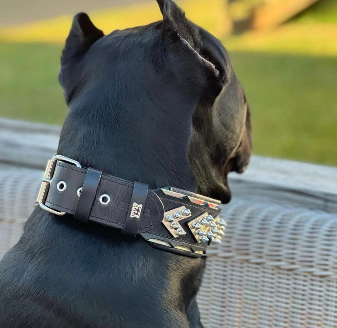 The ''Midas'' Collar Silver - Image 5