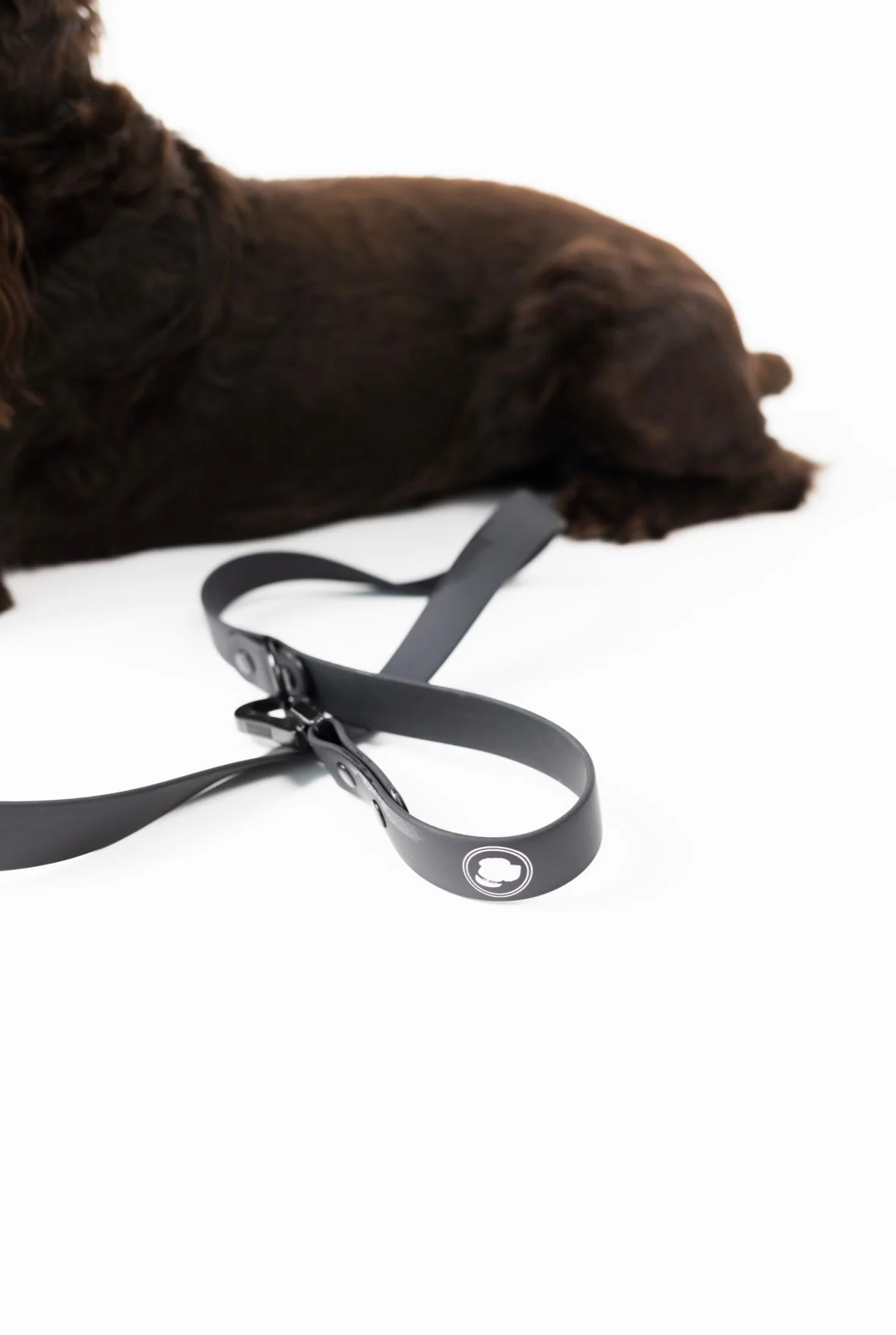 The Modern Dog Company - Better in Black Leash - Image 2