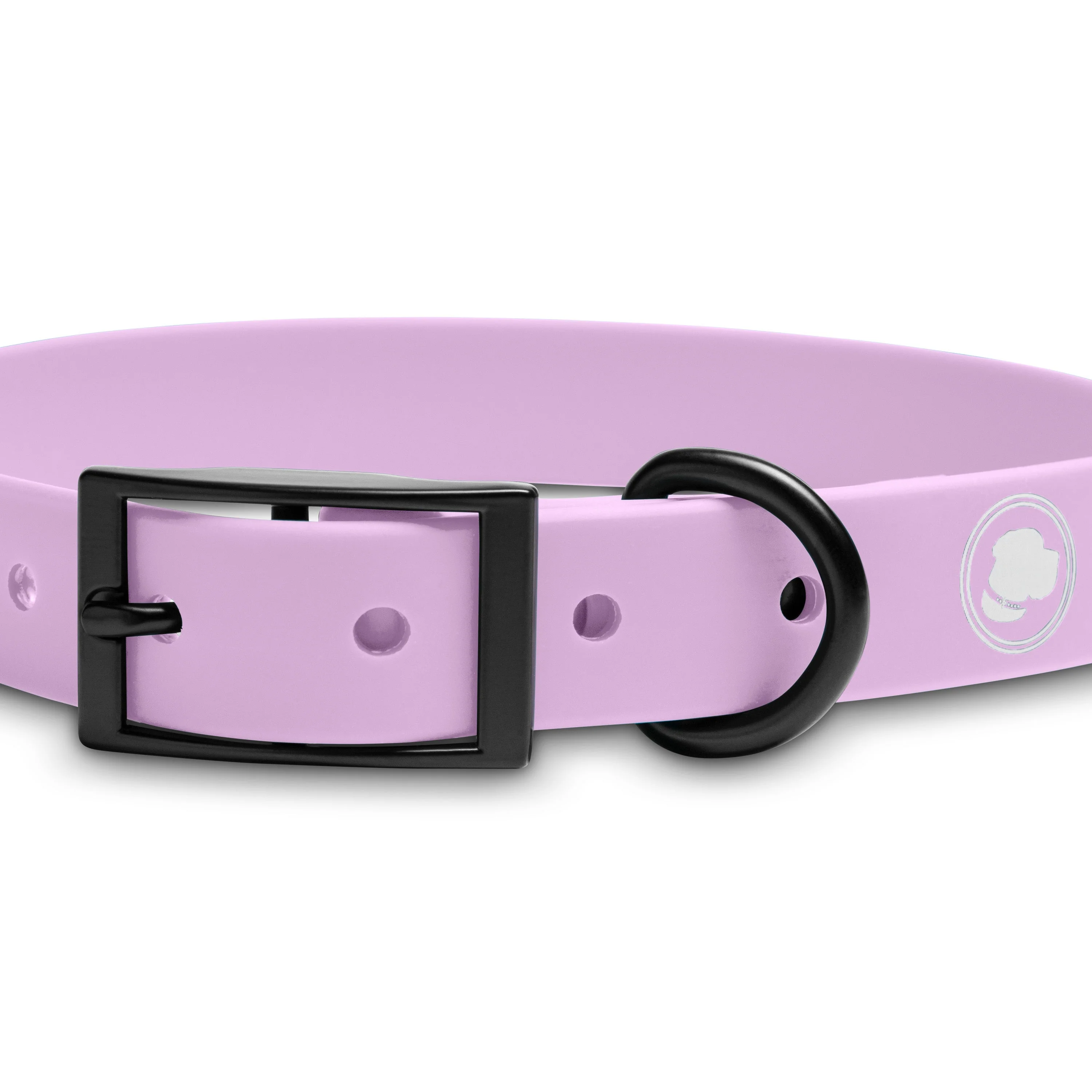 The Modern Dog Company - Blush Pink Collar (Weather + Odor Resistant) - Image 2