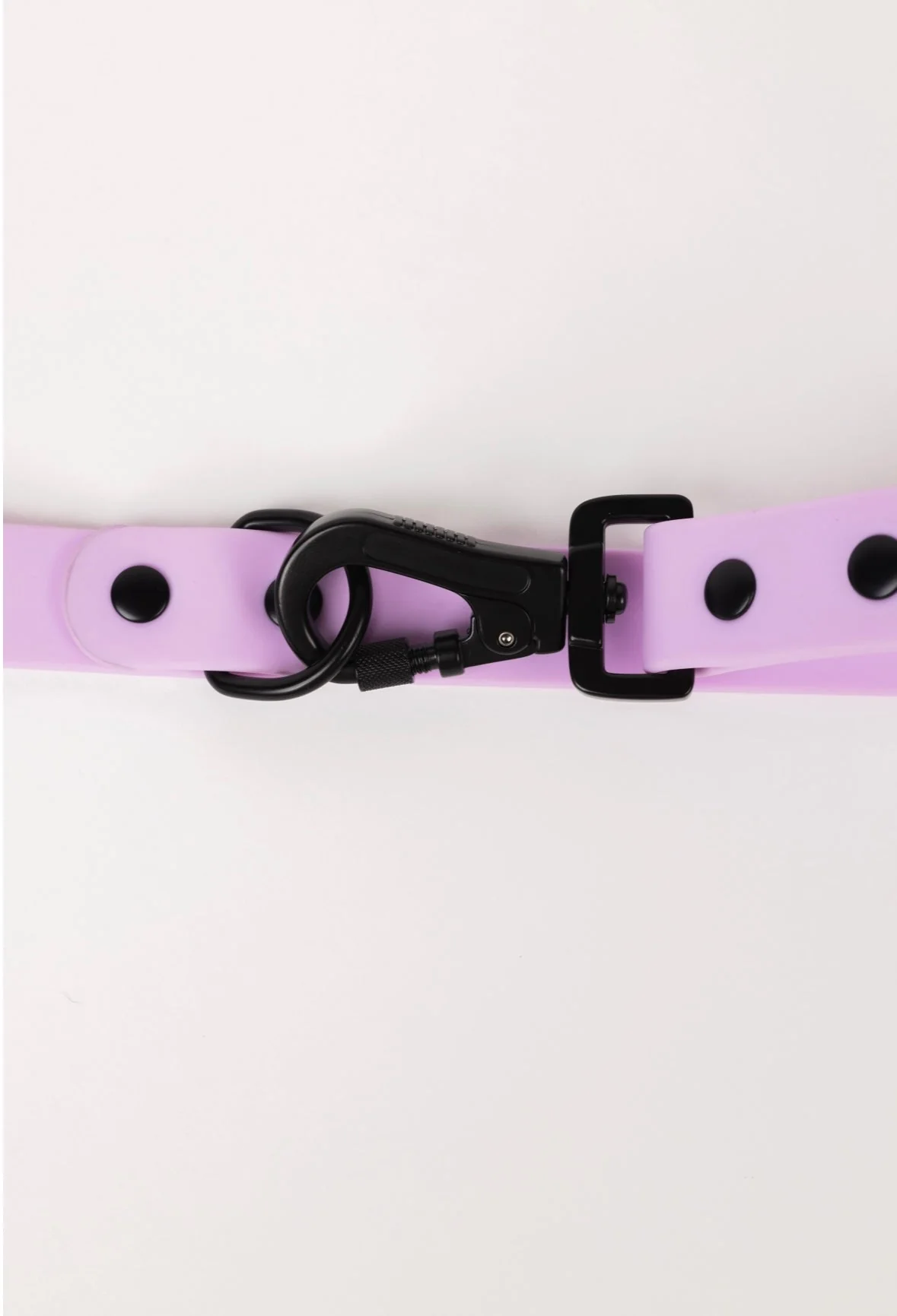 The Modern Dog Company - Blush Pink Leash - Image 4