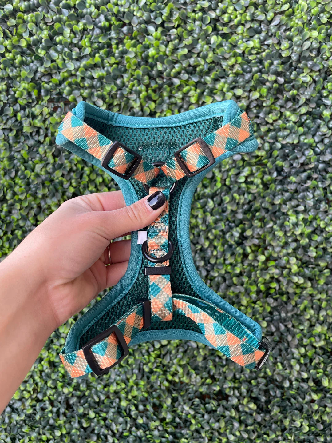 The Modern Dog Company - Camping Harness - Image 2