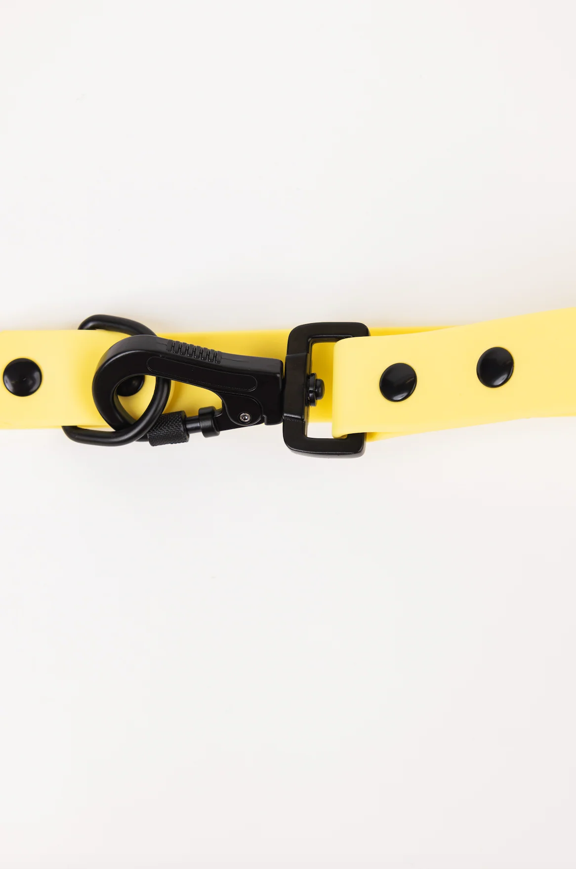 The Modern Dog Company - Daffodil Yellow Adjustable Leash - Image 2