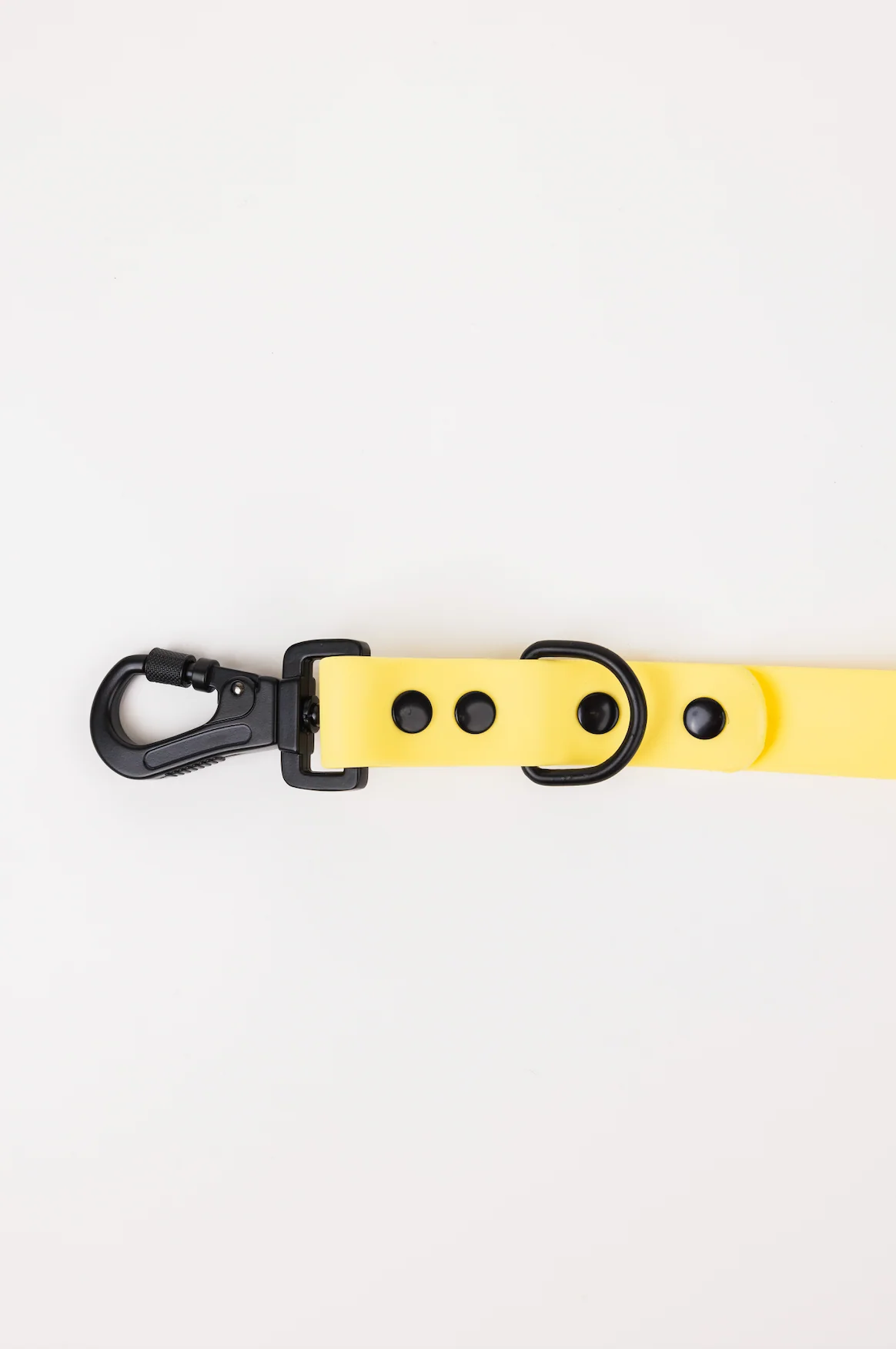 The Modern Dog Company - Daffodil Yellow Adjustable Leash - Image 4