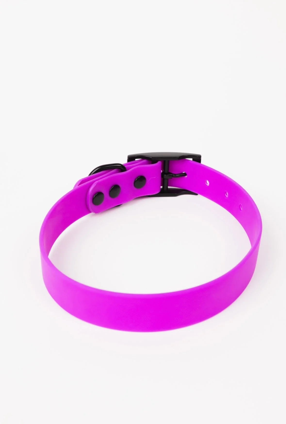 The Modern Dog Company - Electric Fuchsia Collar (Weather + Odor Resistant) - Image 3