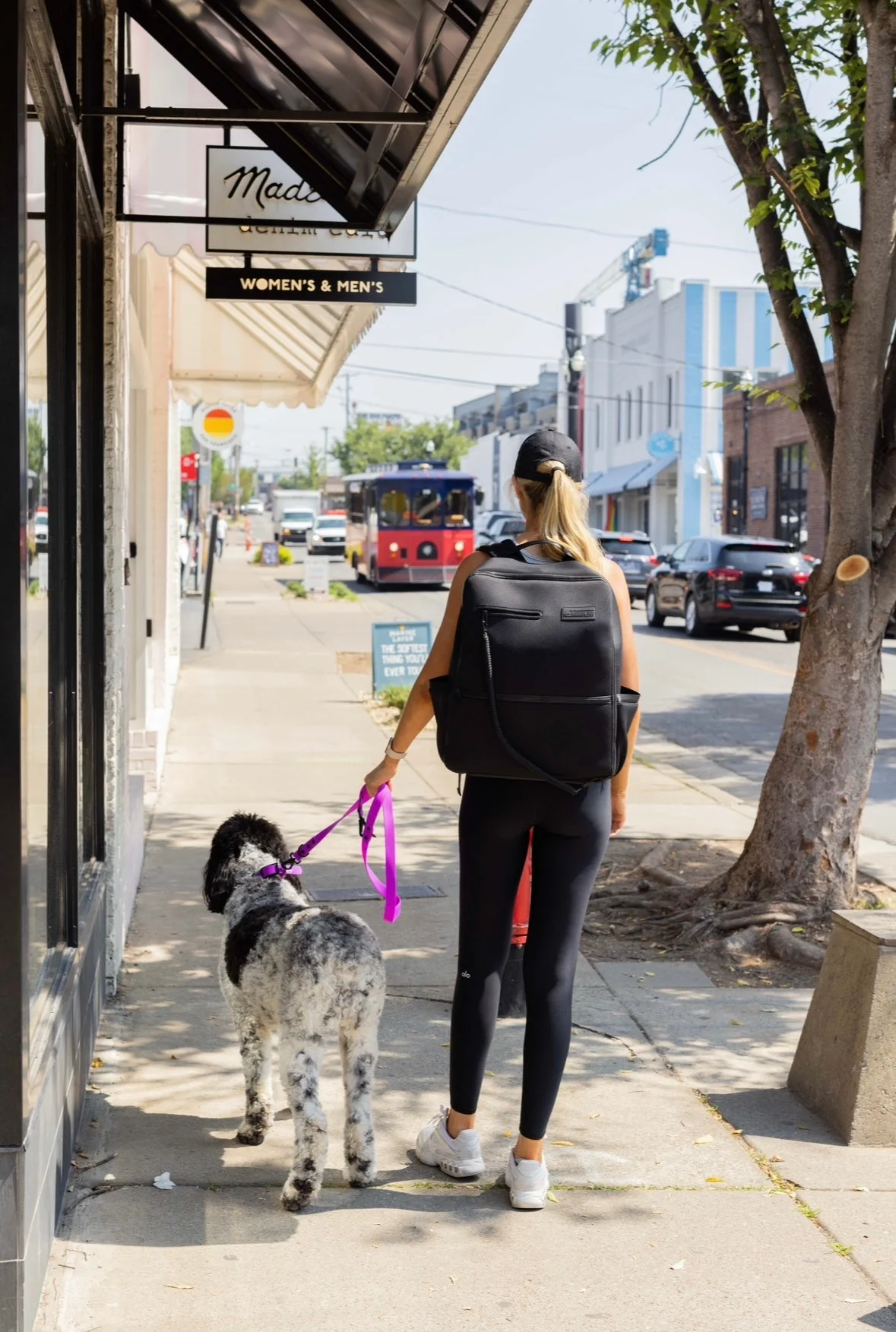 The Modern Dog Company - Electric Fuchsia Collar (Weather + Odor Resistant) - Image 7
