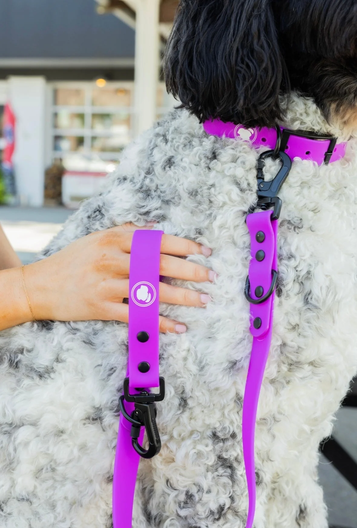 The Modern Dog Company - Electric Fuchsia Leash (Weather + Odor Resistant) - Image 5