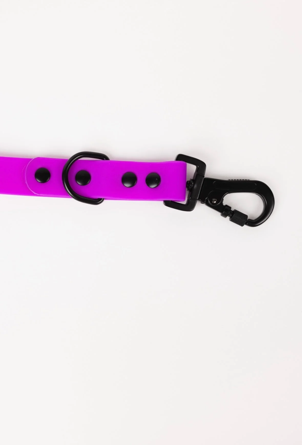 The Modern Dog Company - Electric Fuchsia Leash (Weather + Odor Resistant) - Image 7
