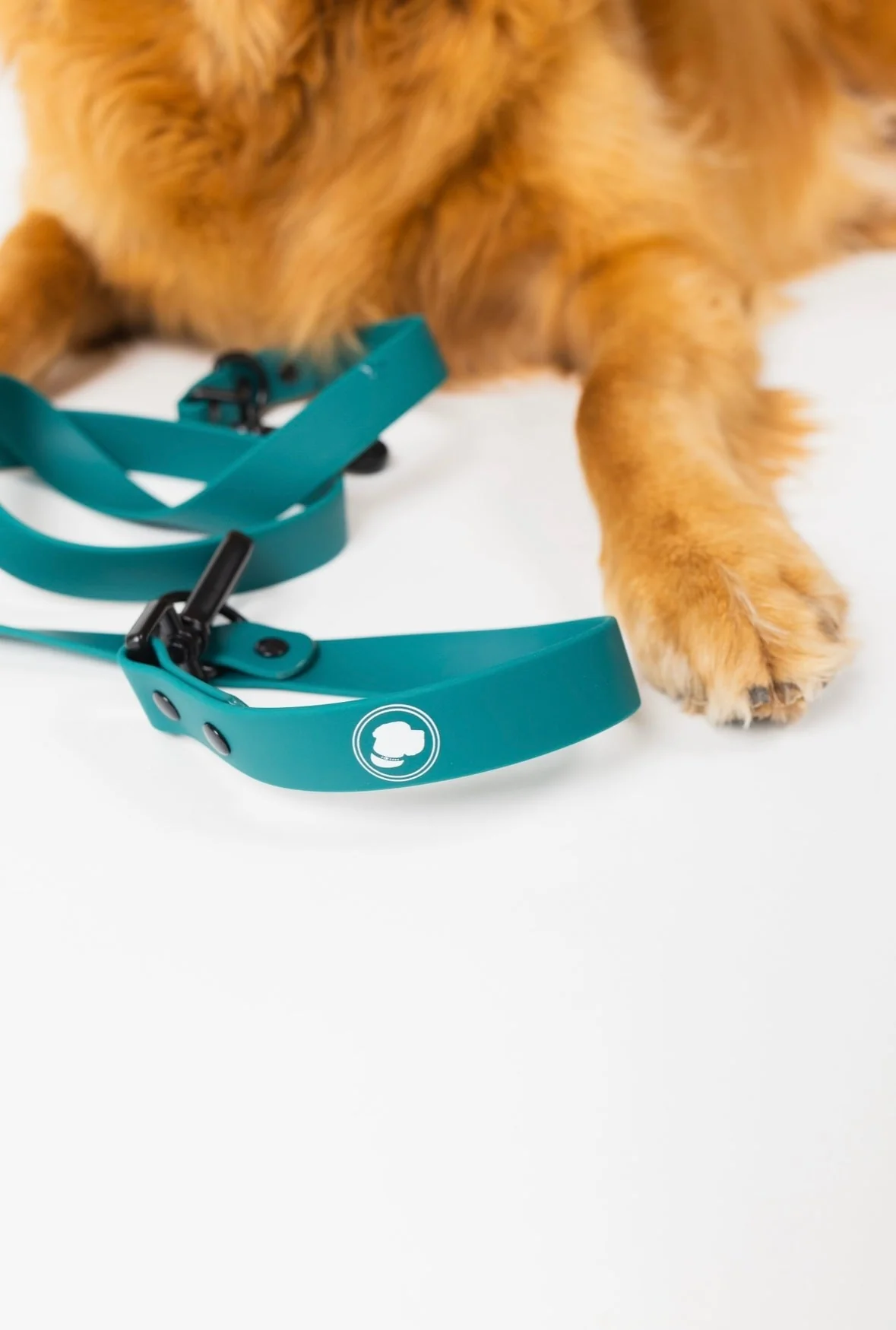 The Modern Dog Company - Forest Green Adjustable Leash - Image 4