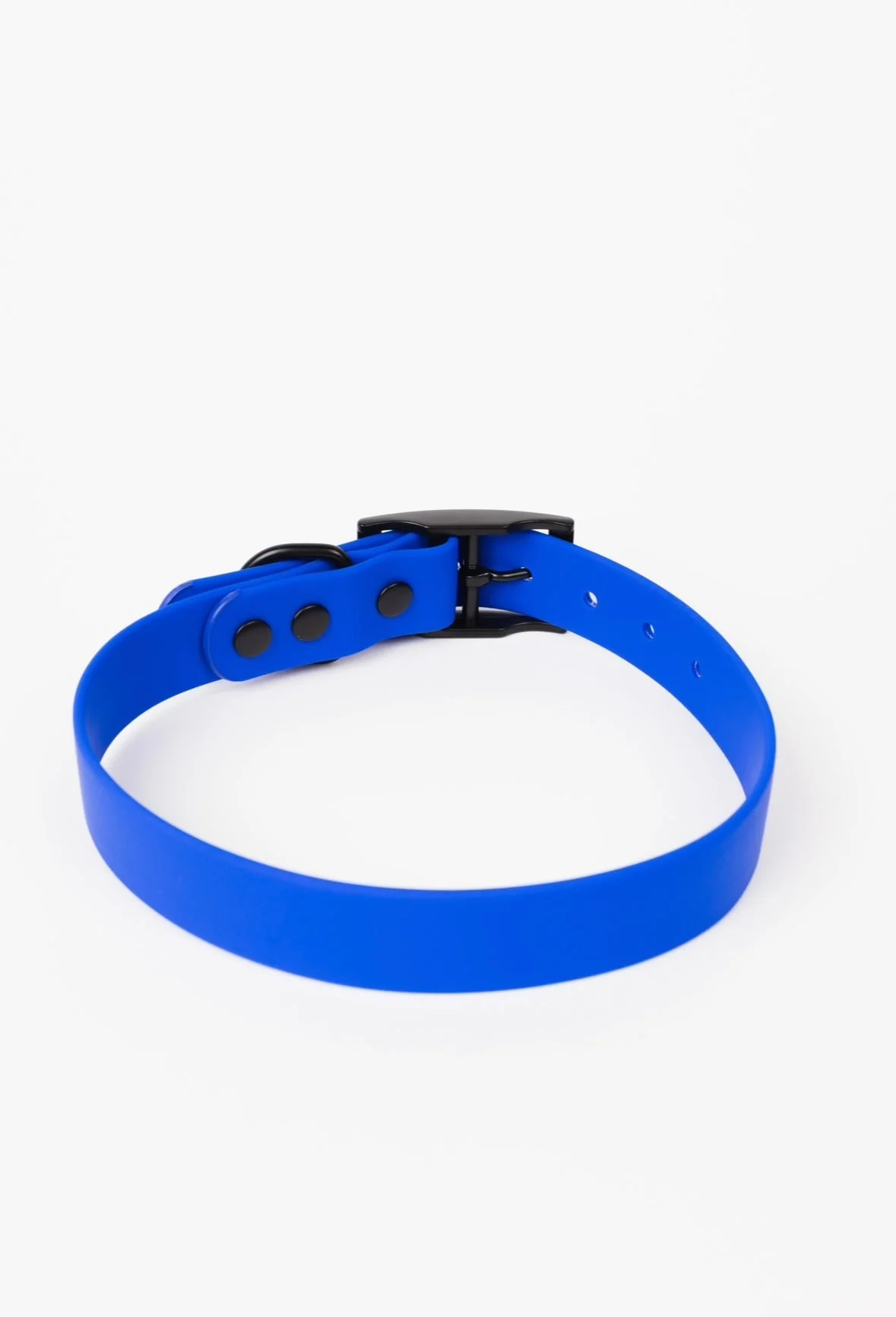 The Modern Dog Company - Royal Blue Collar (Weather + Odor Resistant) - Image 2