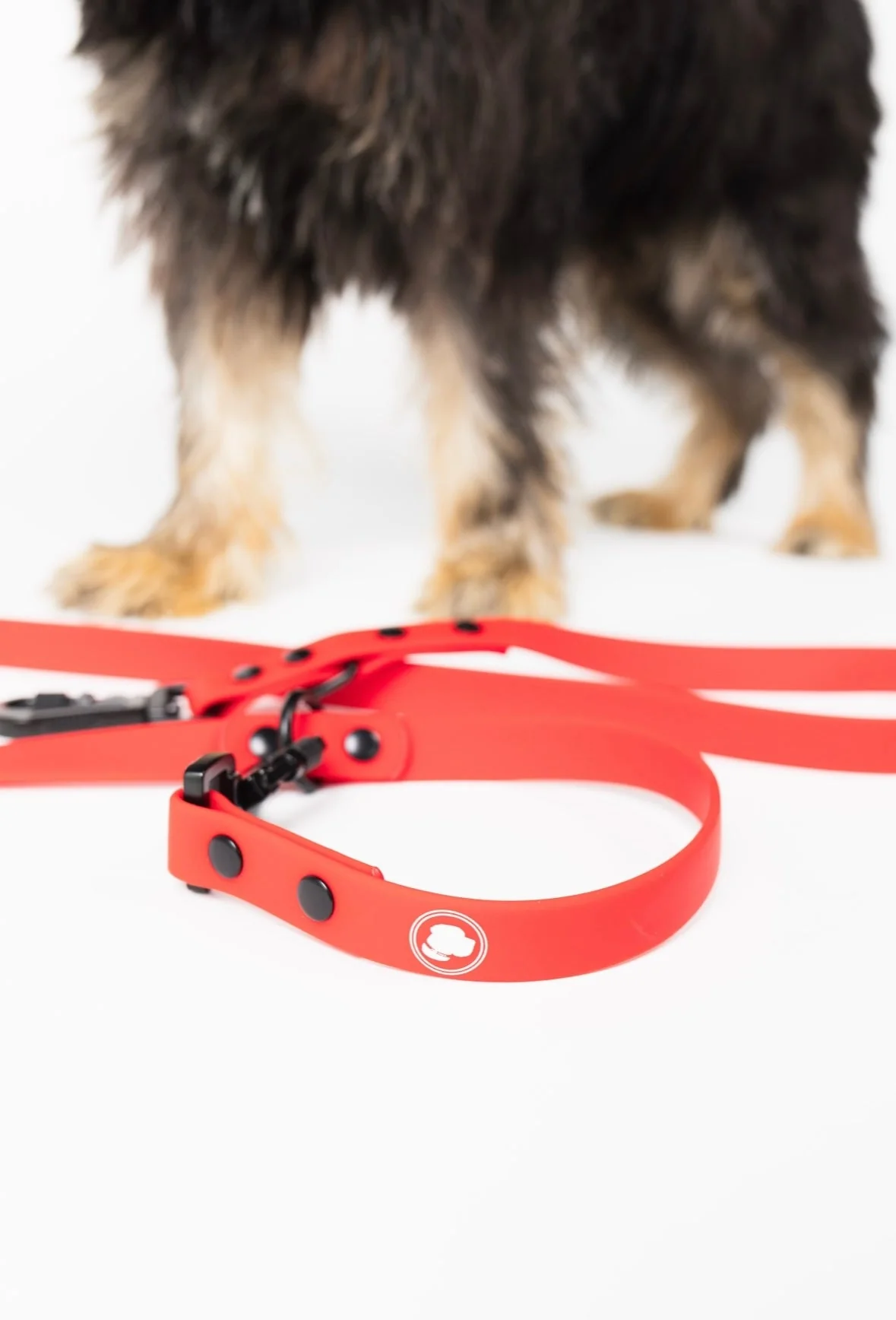 The Modern Dog Company - Ruby Red Adjustable Leash - Image 3