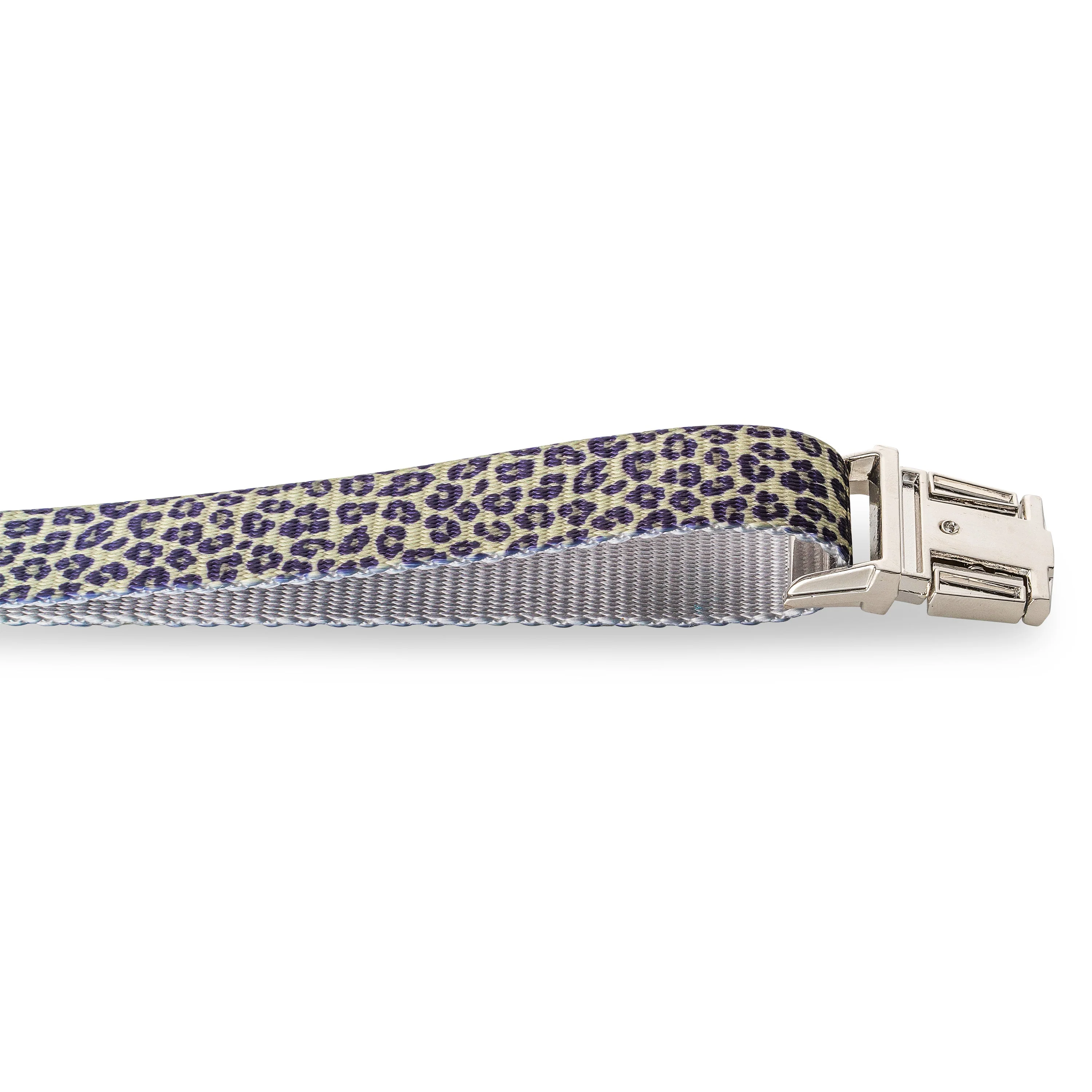 The Modern Dog Company - Walk on the Wild Side - Image 3