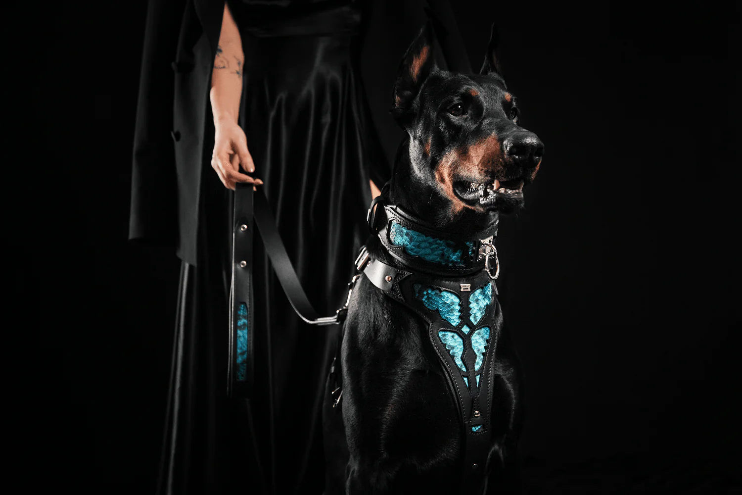 The ''Morelia Python'' collar - Image 4
