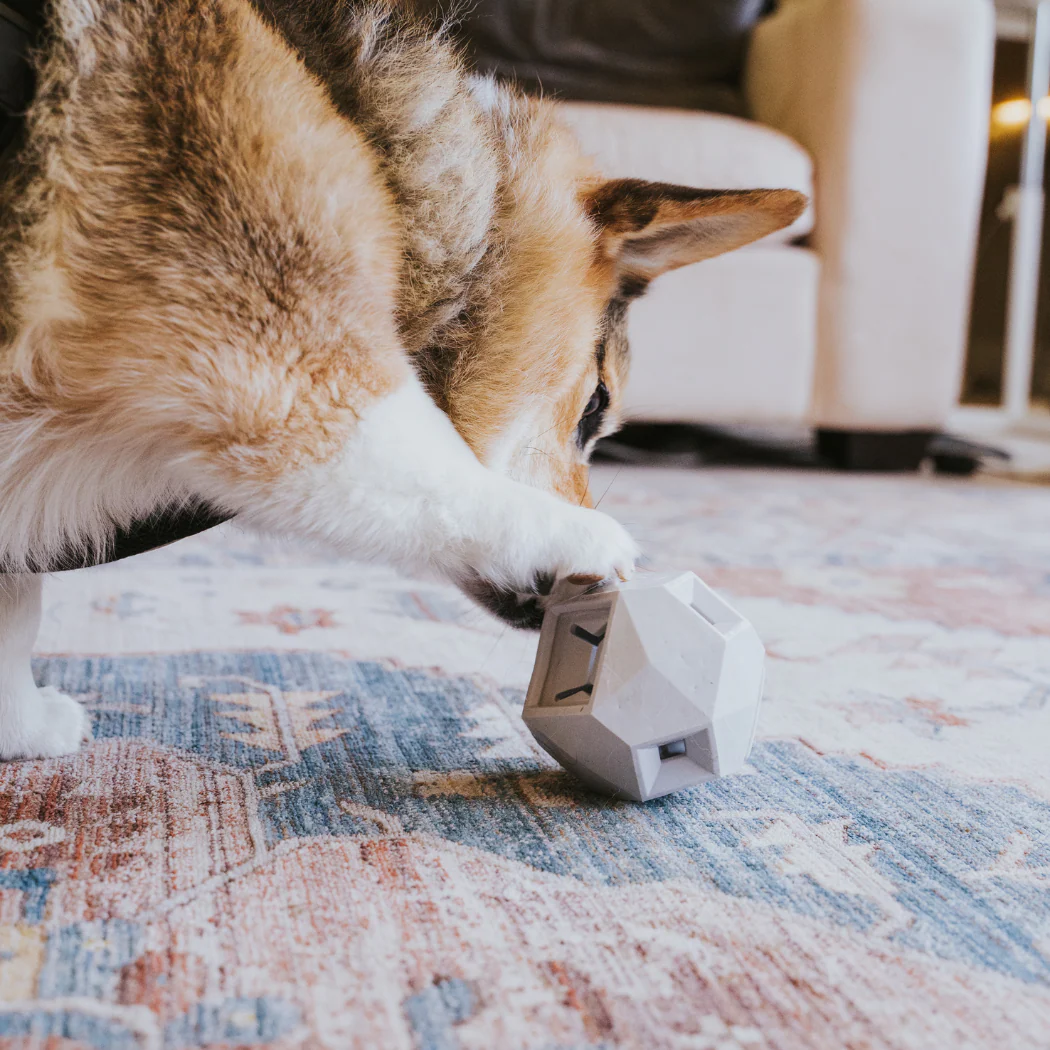 The Odin Treat Dispensing Toy For Dogs - Image 9