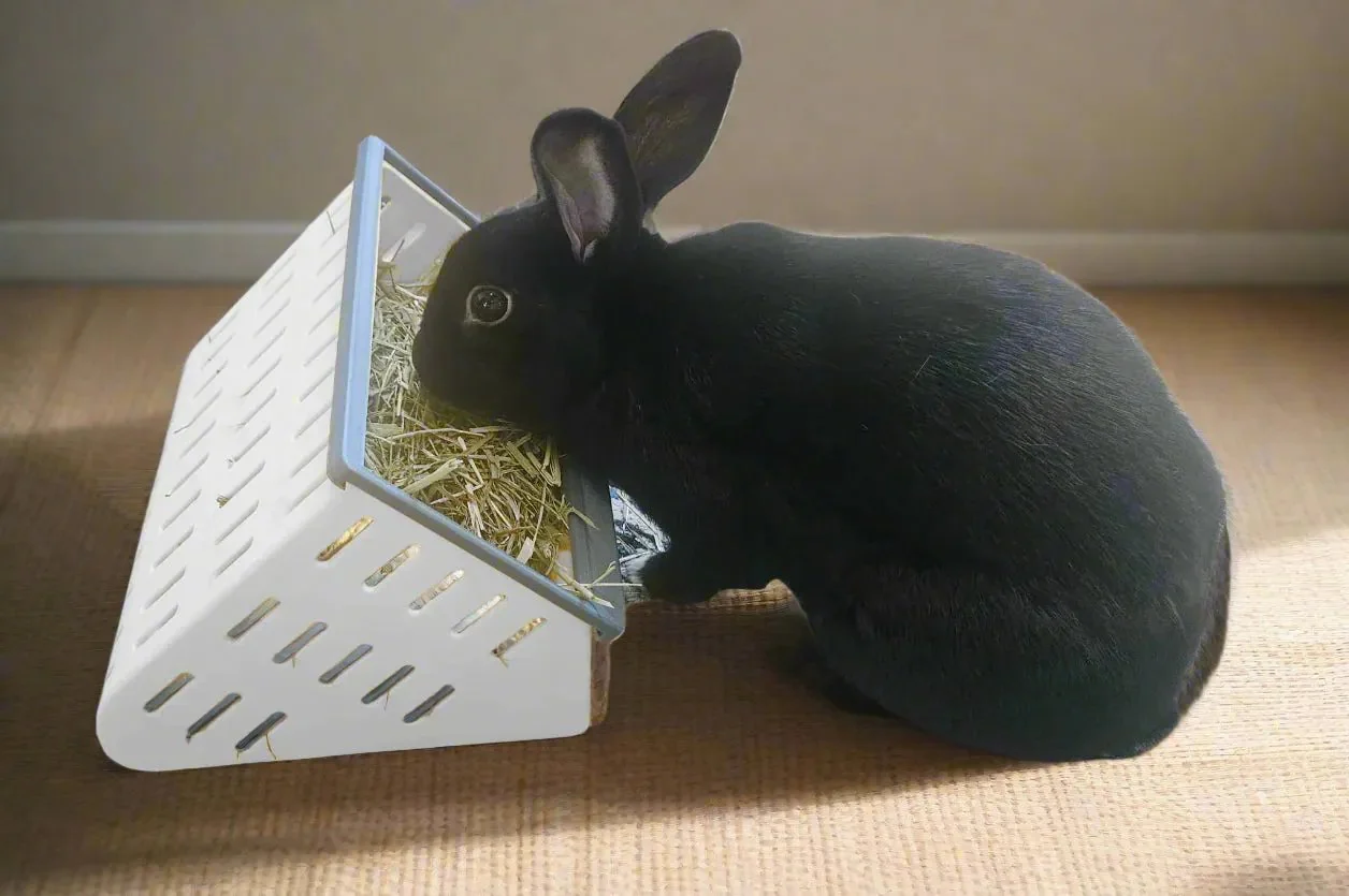 The Open Air Hay Feeder and Hay Roller Bundle - Image 3