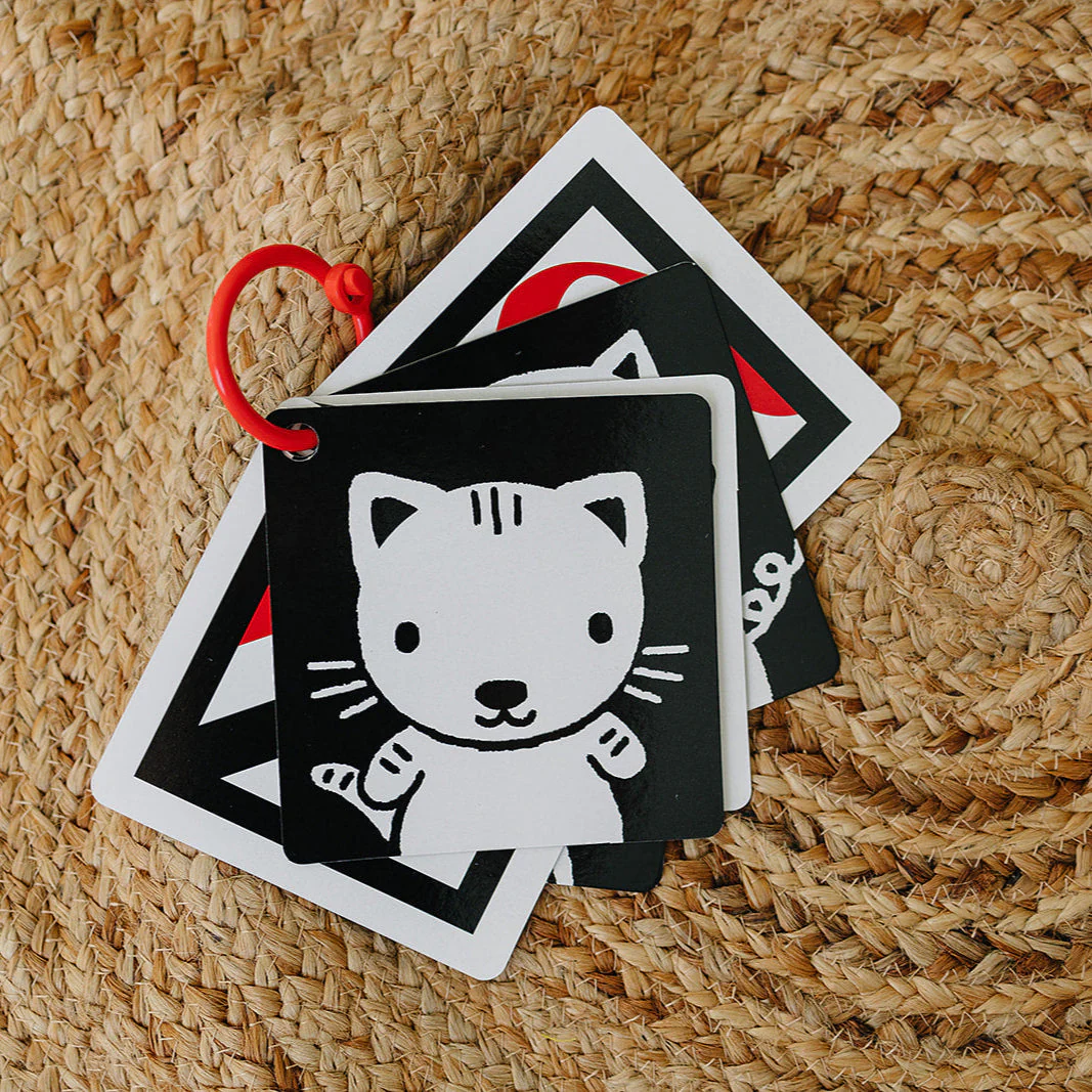 The Original, High Contrast (Black, White, Red) Flashcards for Baby - Image 8