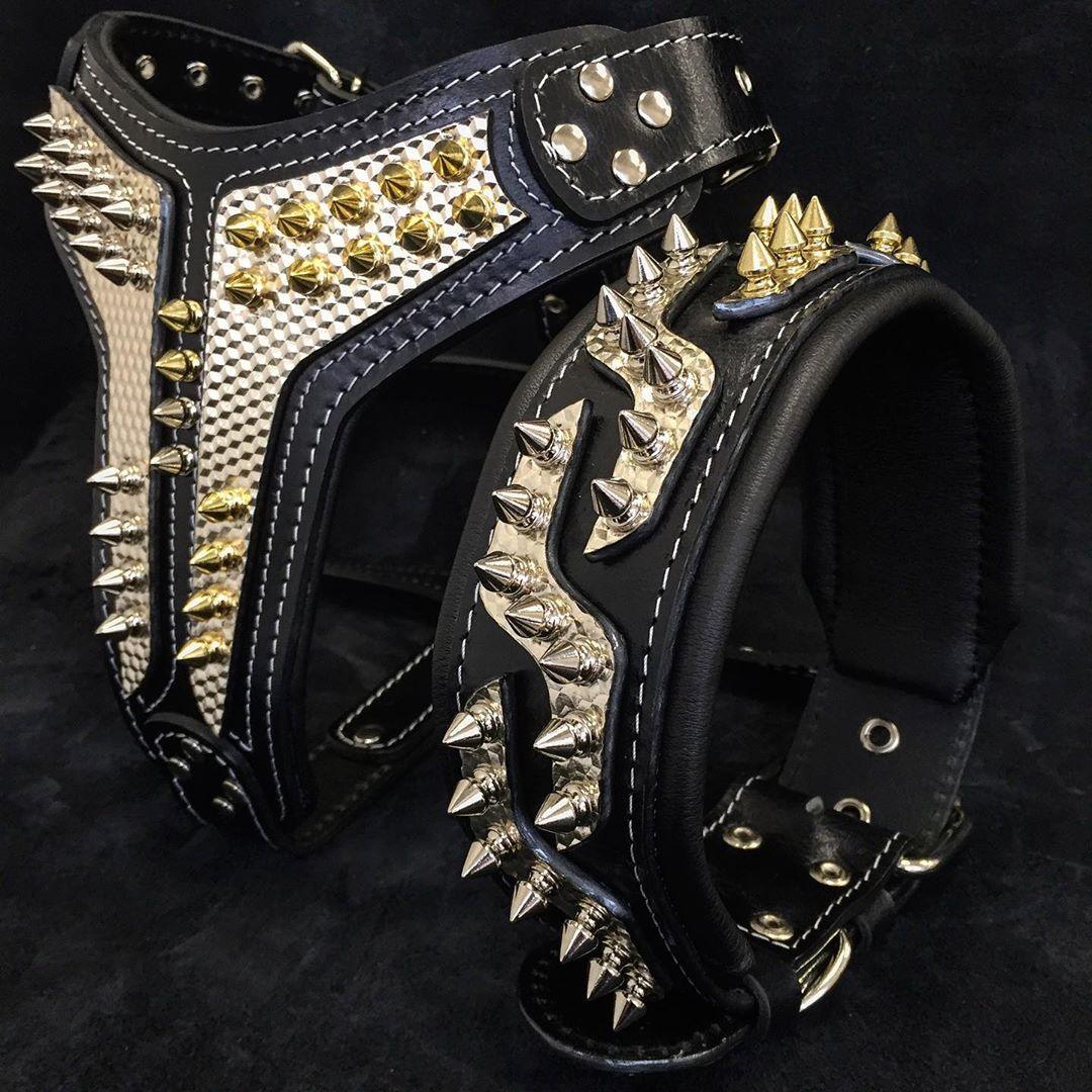 The ''Platinum'' collar - Image 3