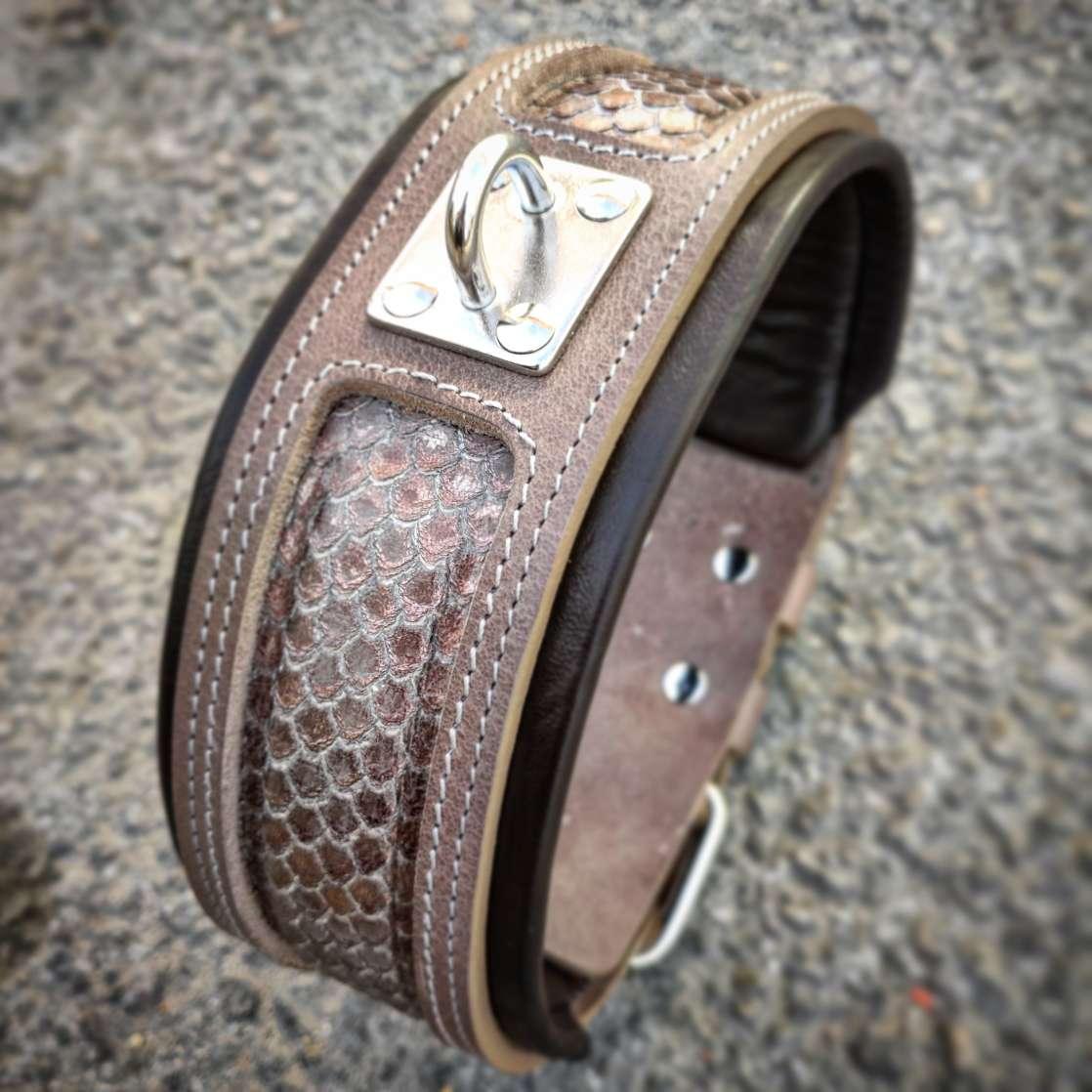 The ''Python'' exclusive design - Image 2