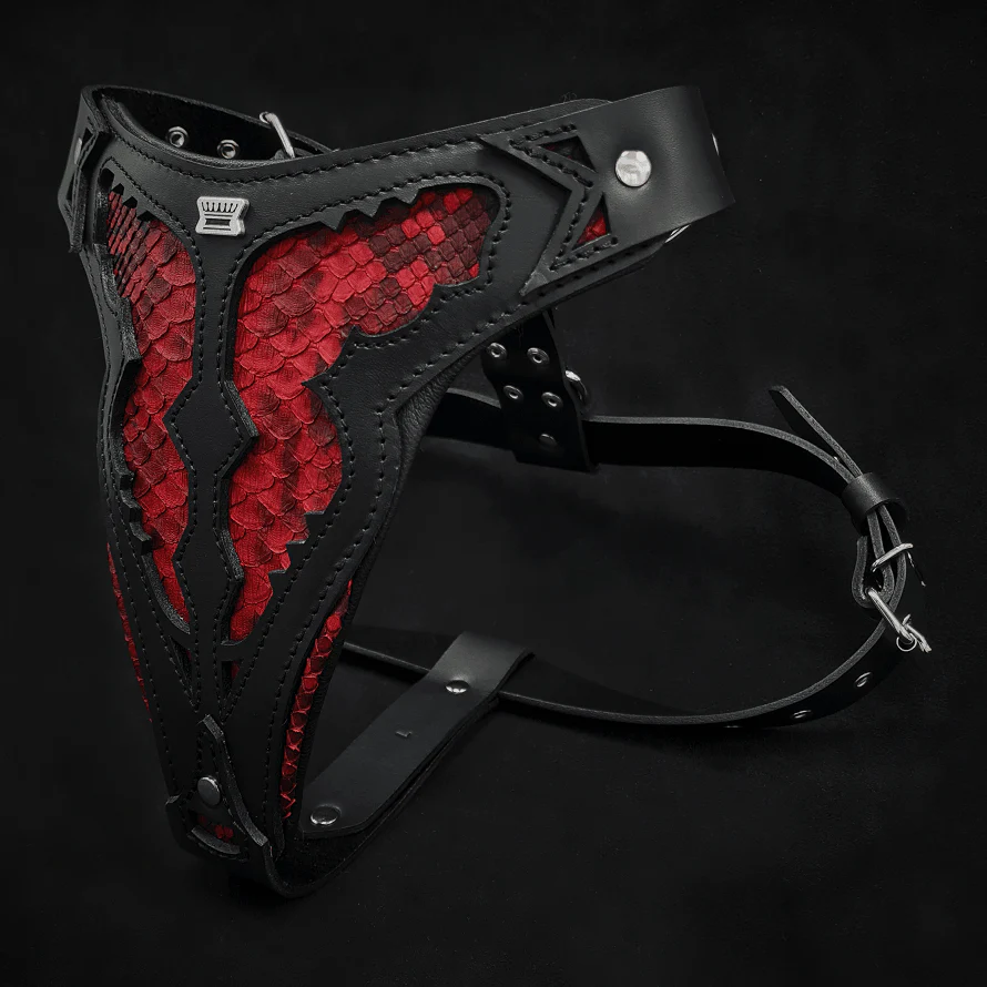 The ''Red Dragon'' harness - Image 2