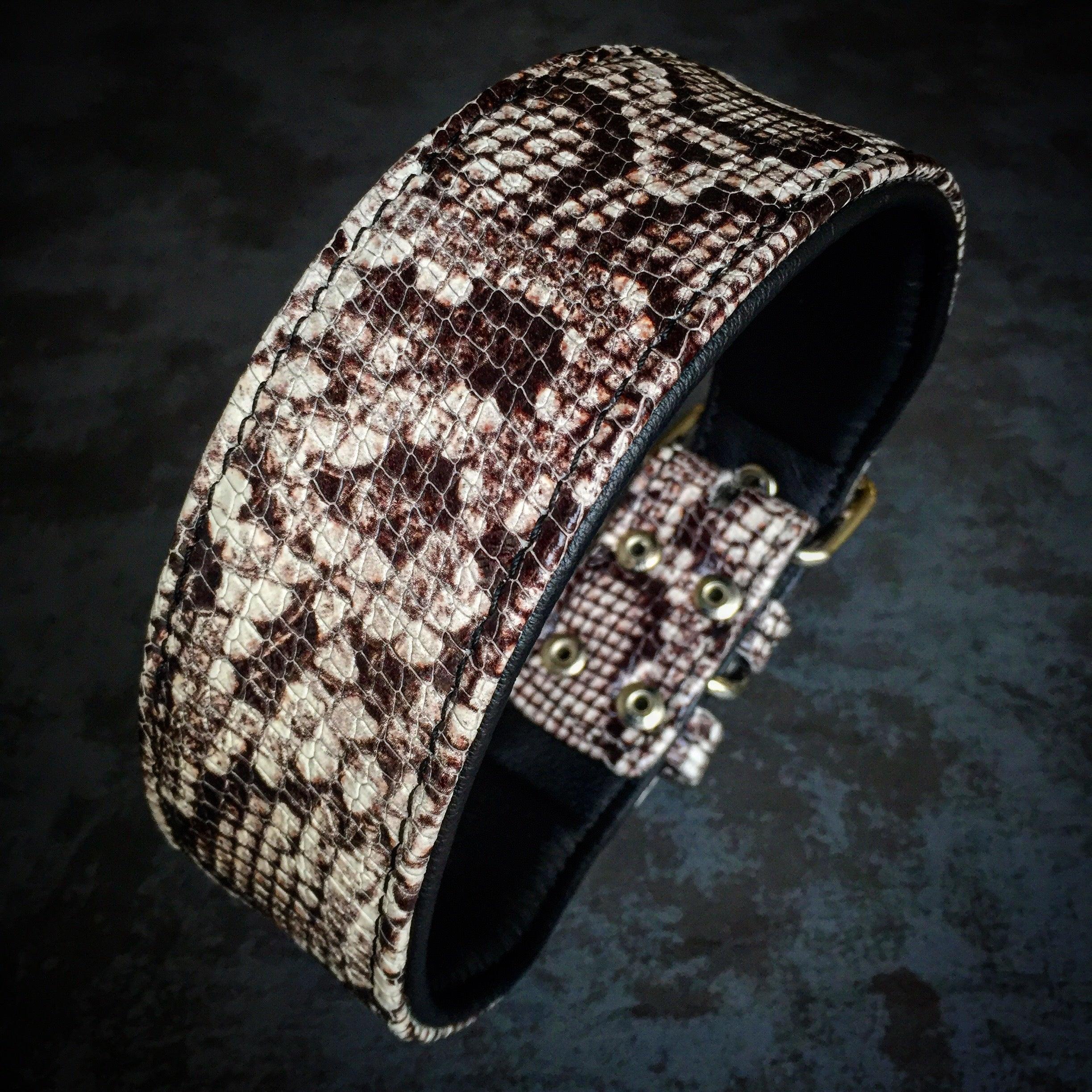 The ''Rock Python'' collar - Image 2