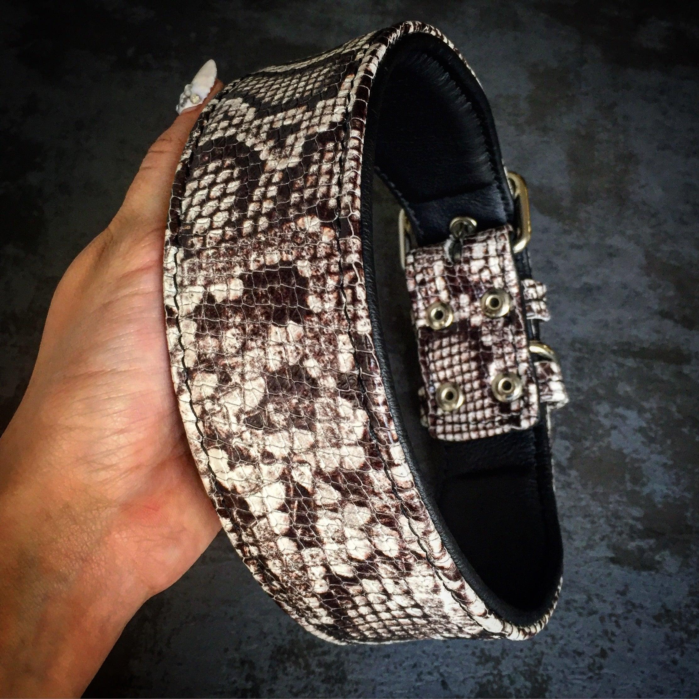 The ''Rock Python'' collar - Image 3