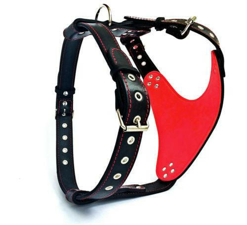 The "Steel" harness - Image 2