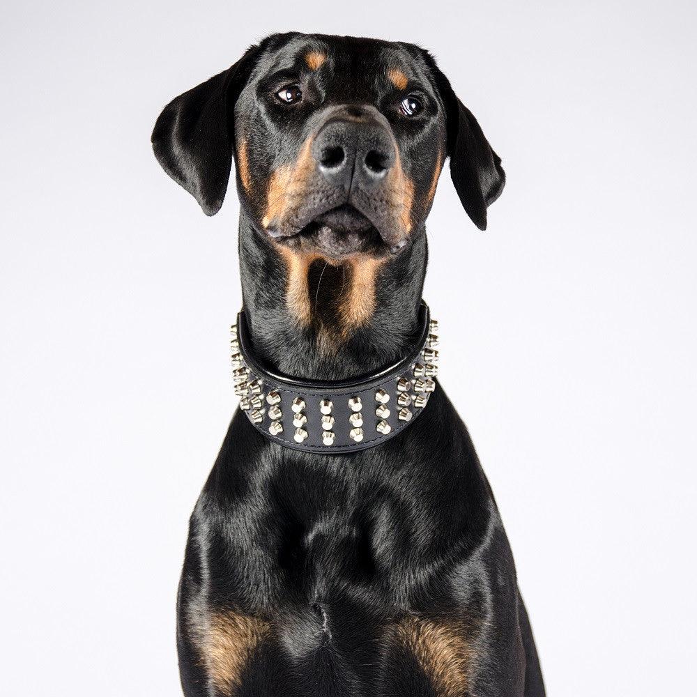 The "Stud" dog collar - Image 2