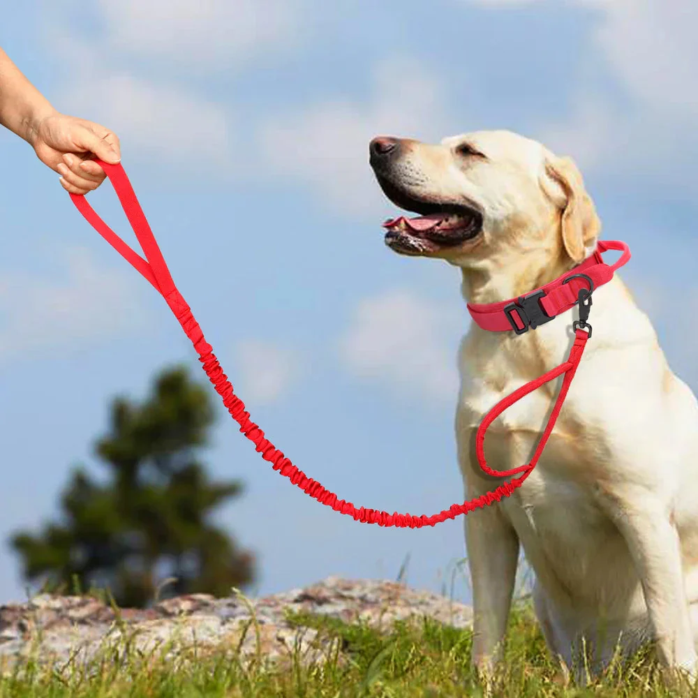 The Tactical Luxe Collar & Leash - Image 18