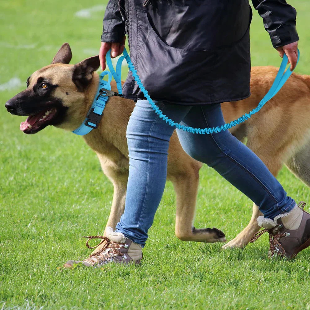 The Tactical Luxe Collar & Leash - Image 19