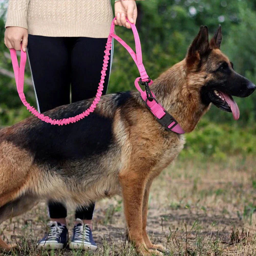 The Tactical Luxe Collar & Leash - Image 20