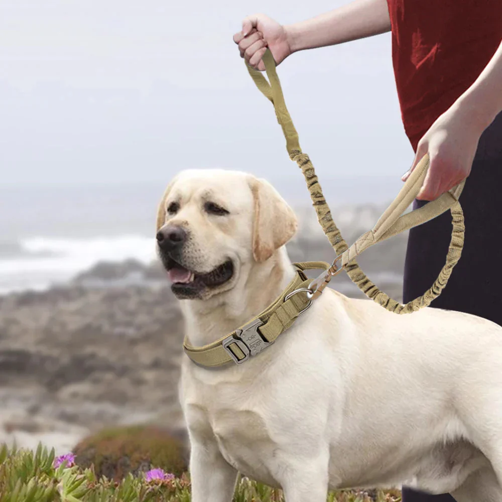 The Tactical Luxe Collar & Leash - Image 21