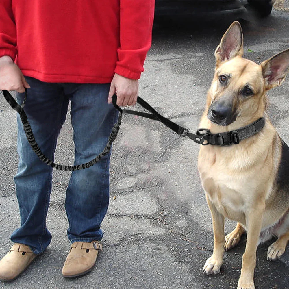 The Tactical Luxe Collar & Leash - Image 22