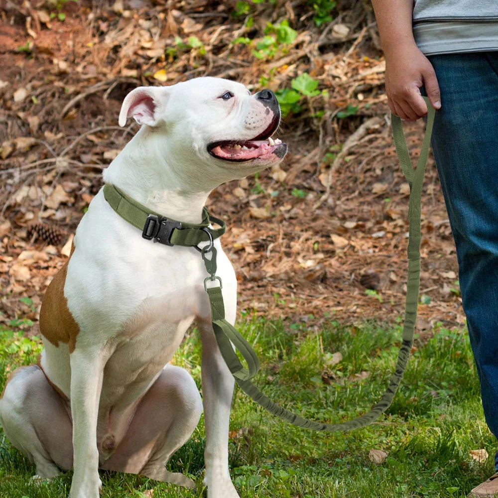 The Tactical Luxe Collar & Leash - Image 23