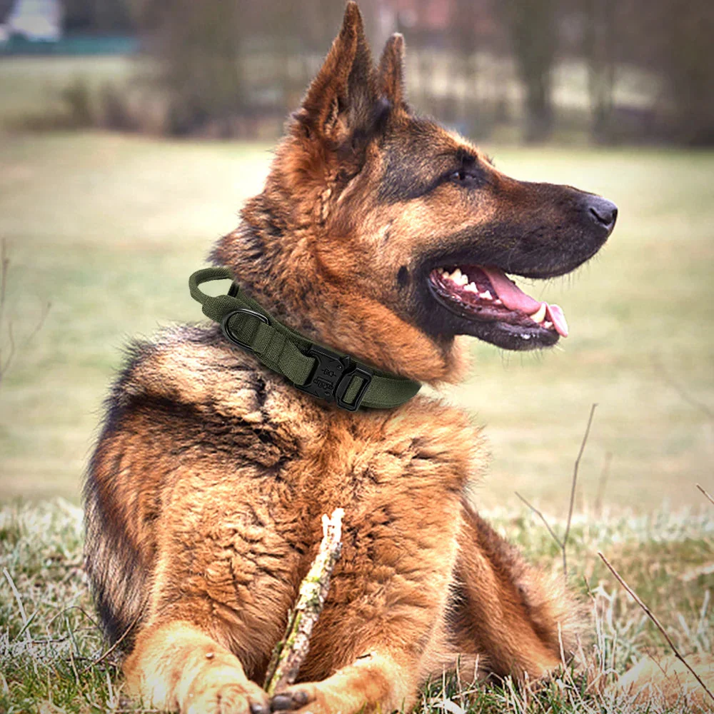The Tactical Luxe Collar & Leash - Image 5