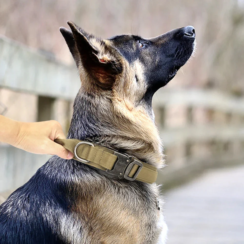 The Tactical Luxe Collar & Leash - Image 6
