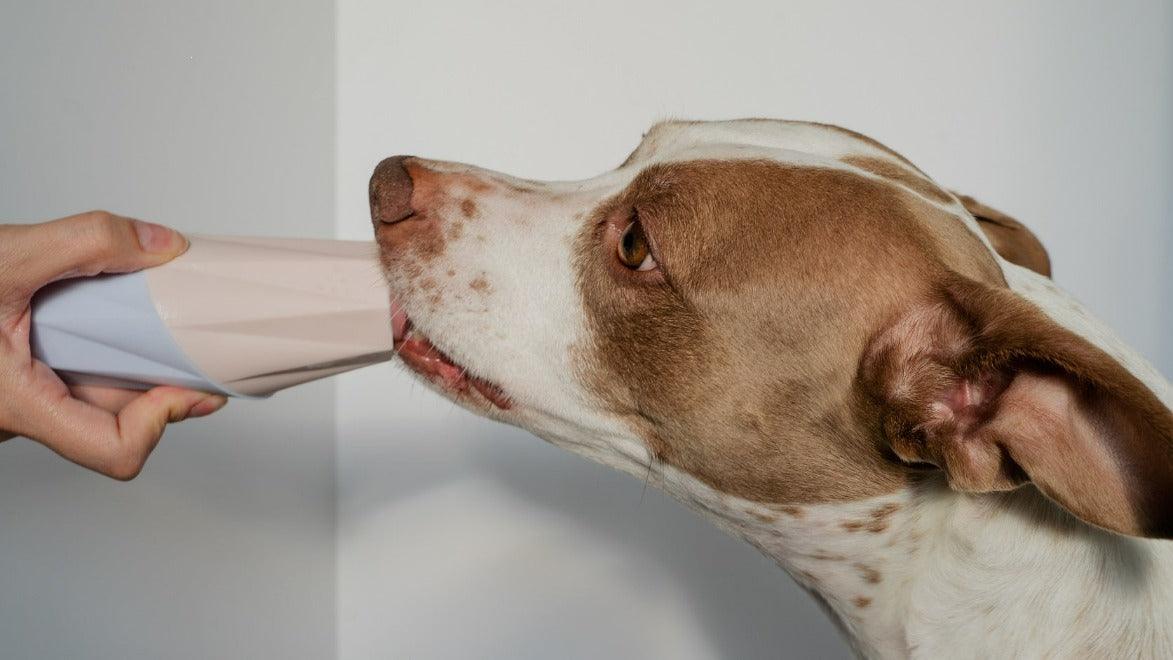 The Ubbe Modern Dog Licking Toy - Image 10