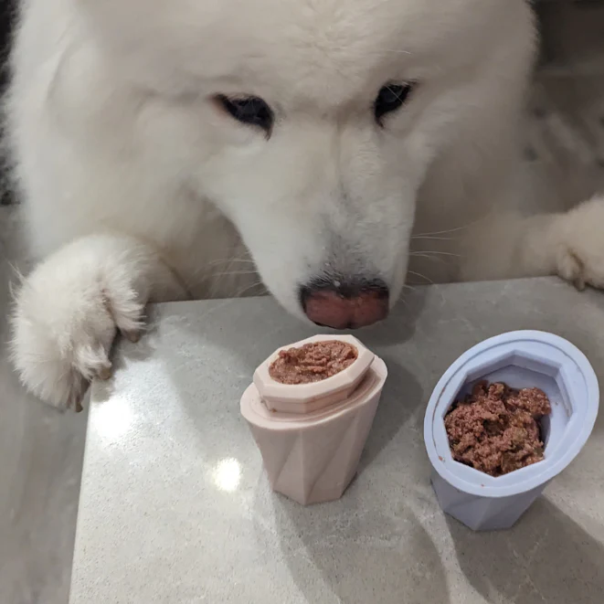 The Ubbe Modern Dog Licking Toy - Image 2