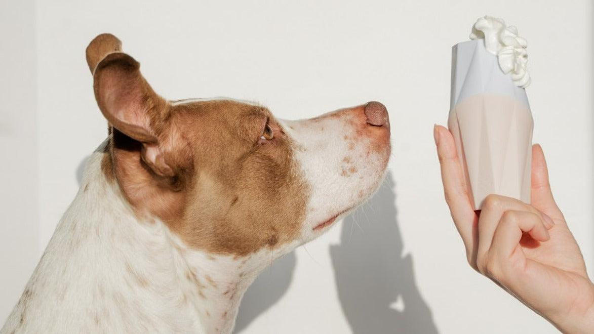 The Ubbe Modern Dog Licking Toy - Image 9
