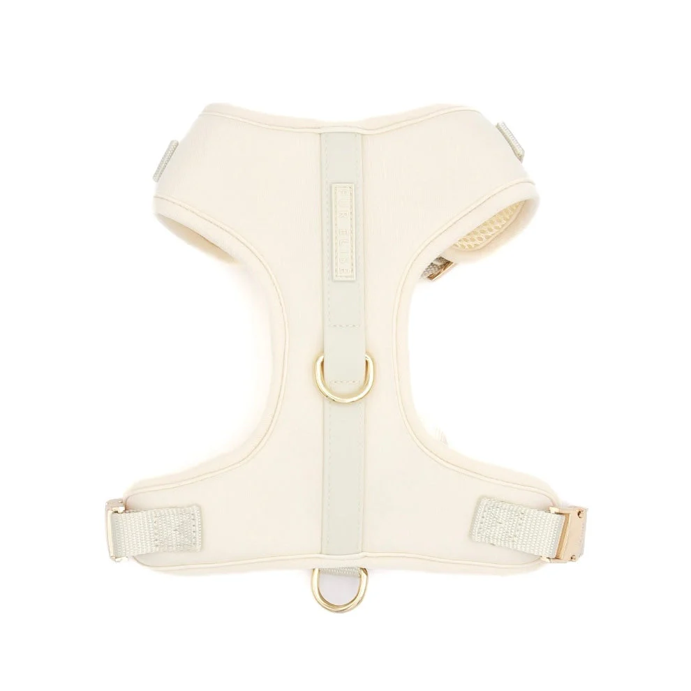 The Ultimate Walk Set - Bone - Image 2