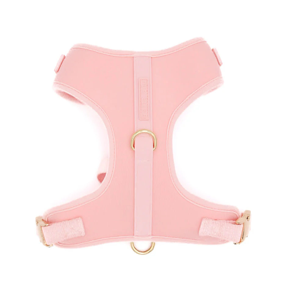 The Ultimate Walk Set - Rose - Image 2