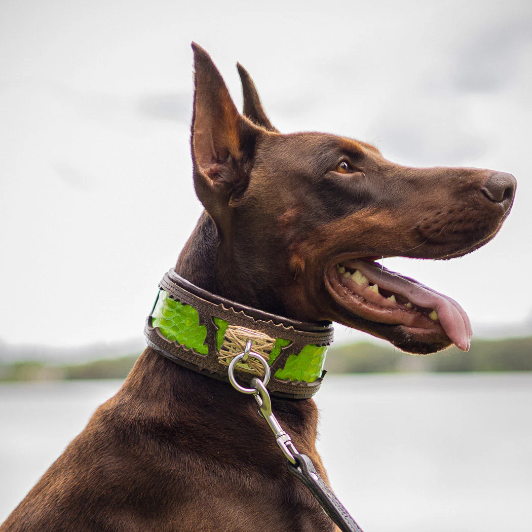 The ''Venom'' collar - Image 4