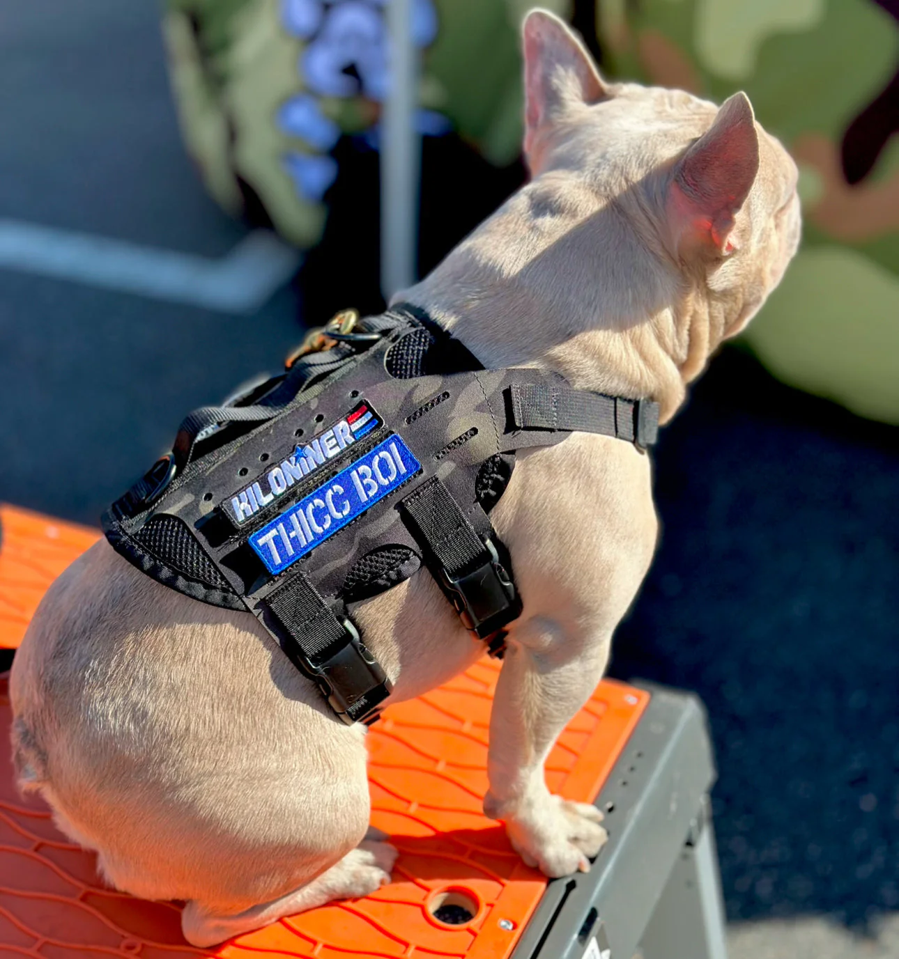 Thicc Boi Morale Patch - Image 2