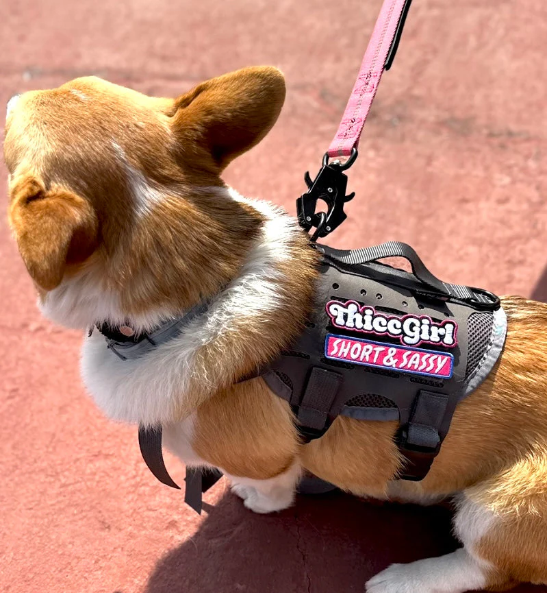 Thicc Girl Morale Patch - Image 4