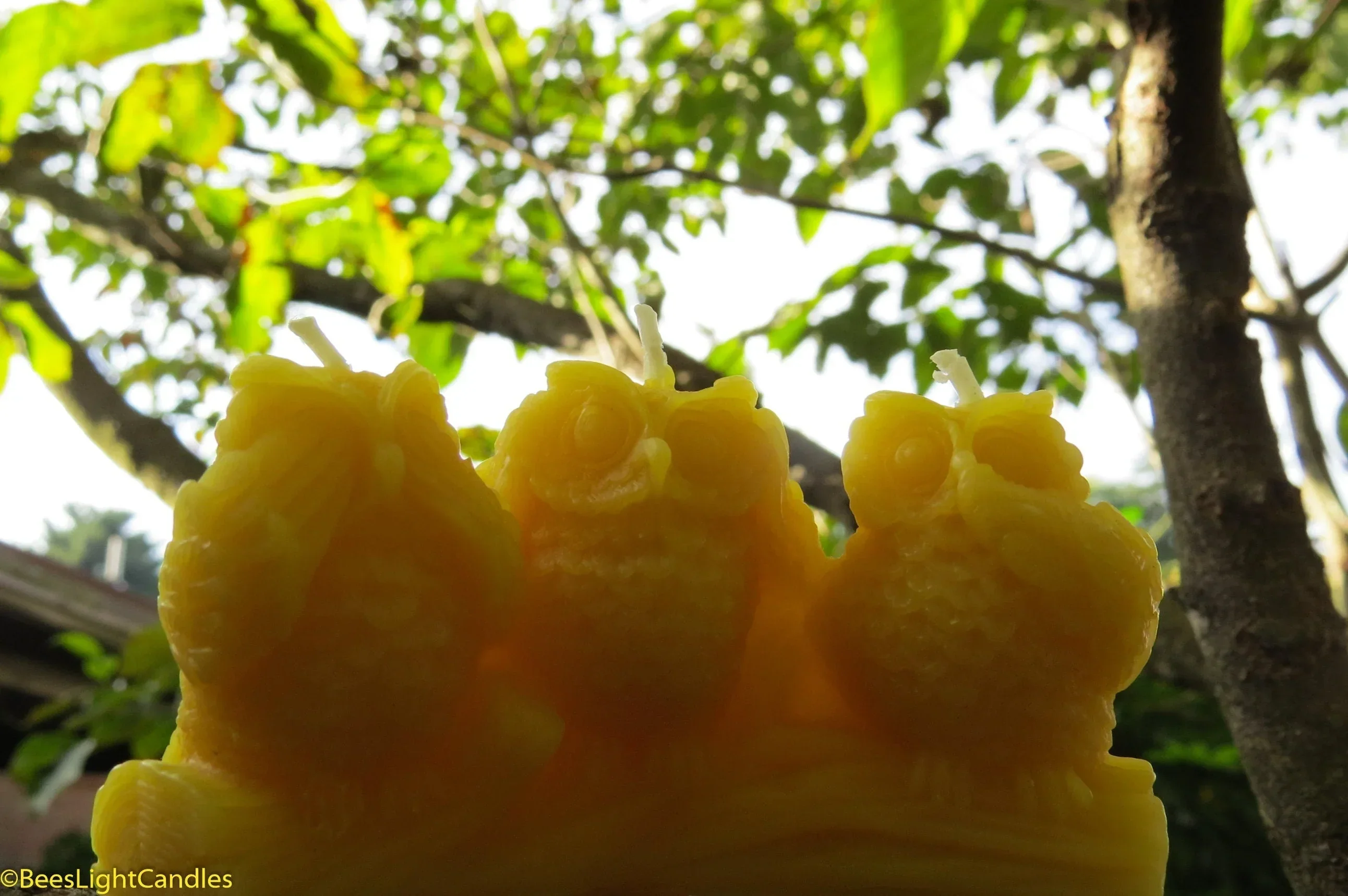 Three Wise Owls Beeswax Candles - Image 2