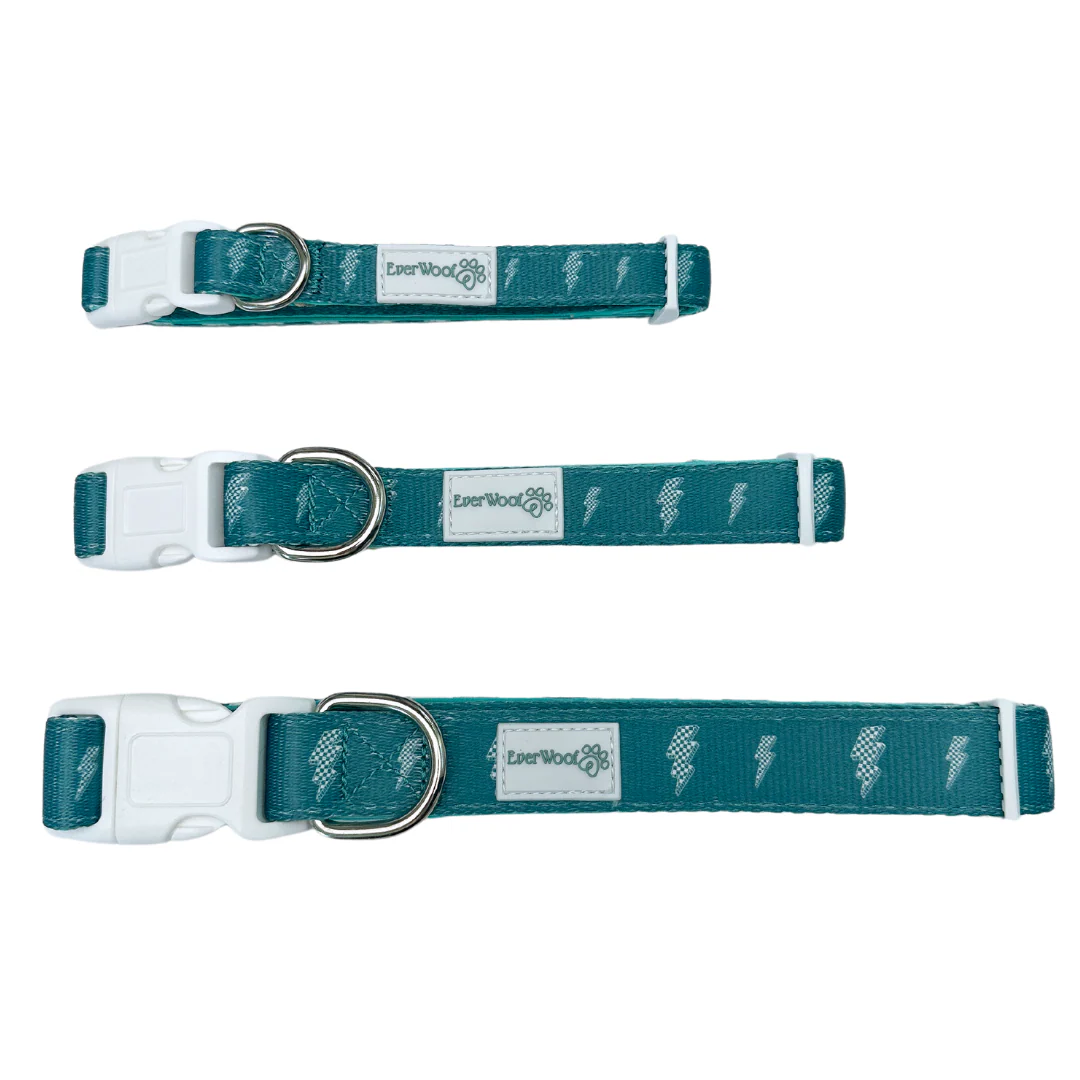 Thunderstruck Collar - Image 4