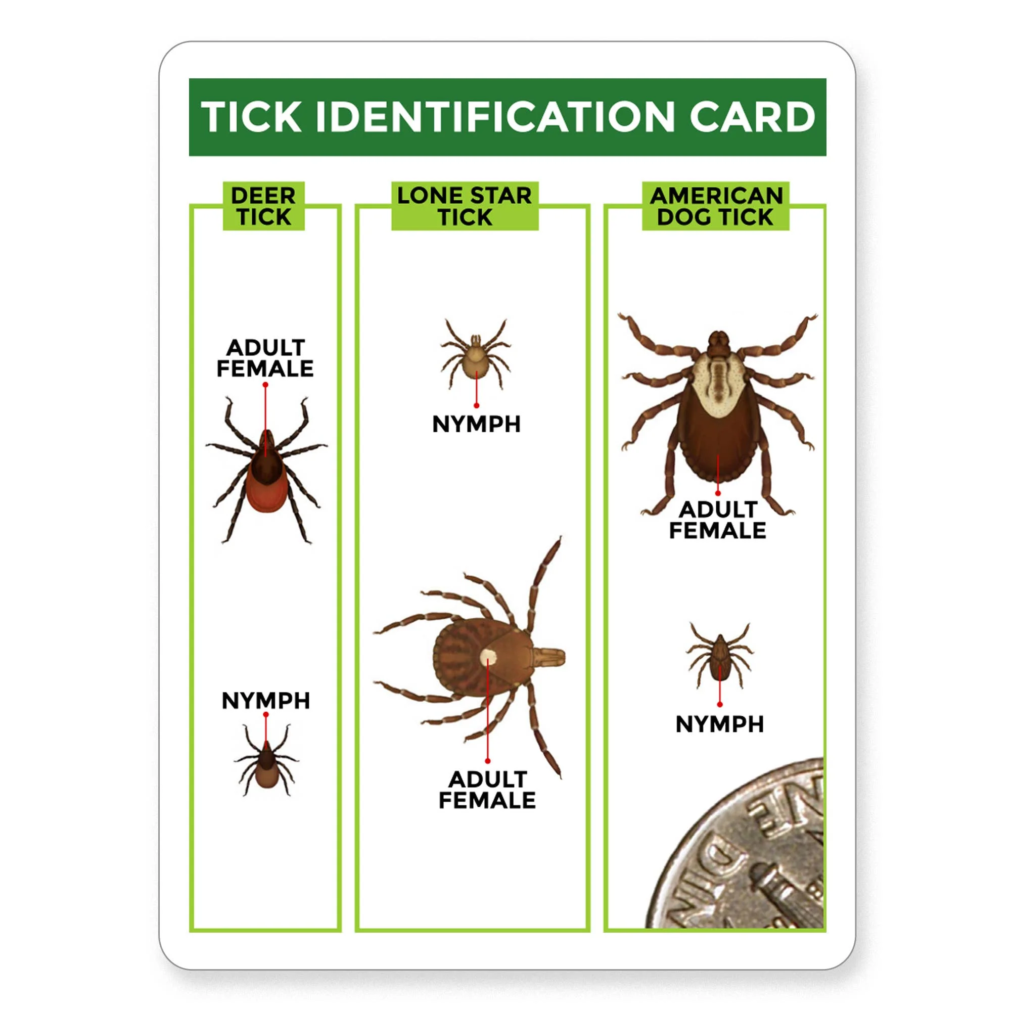 TickCheck Tick Remover Value 3 Pack - Image 6
