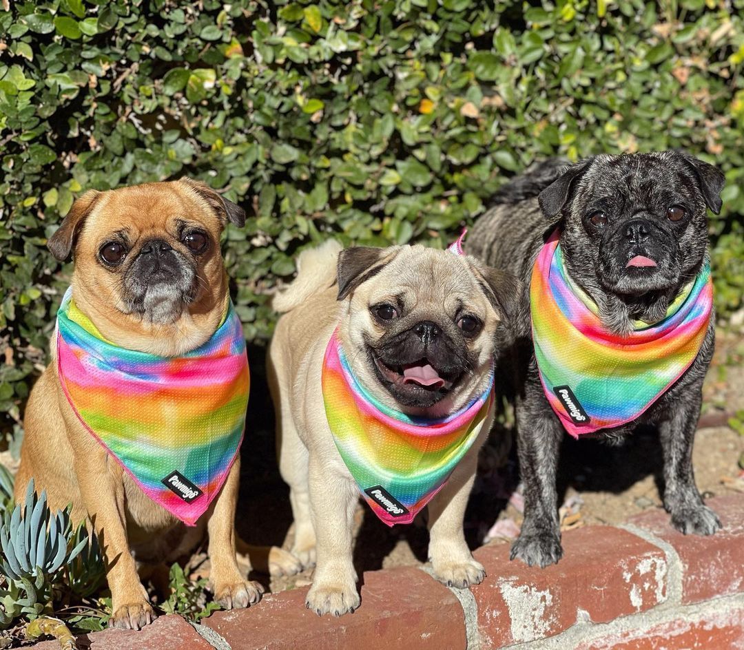 Tie-Dye For Cooling Bandana - Image 2