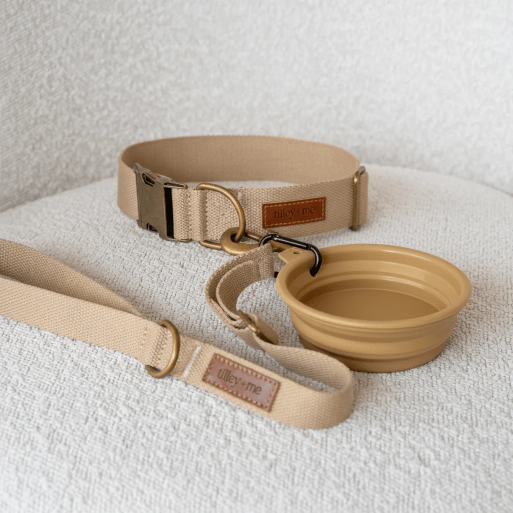 Tilley + Me Collapsible Travel Pet Bowl with Clip – Compact, Reusable and Easy to Clean - Image 7