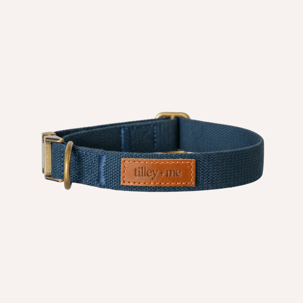 Tilley + Me Hemp Cotton Dog Collar – Durable, Adjustable, Soft – Joshua Tree - Image 13