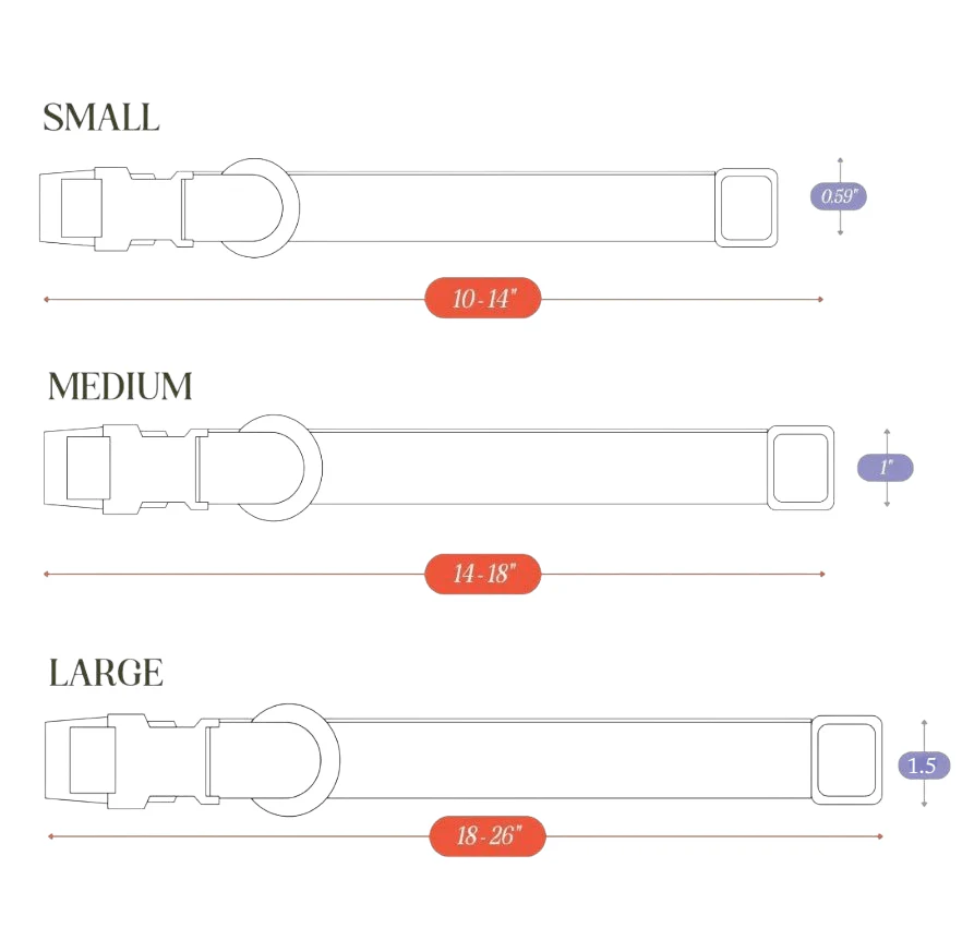 Tilley + Me Hemp Cotton Dog Collar – Durable, Adjustable, Soft – Joshua Tree - Image 16