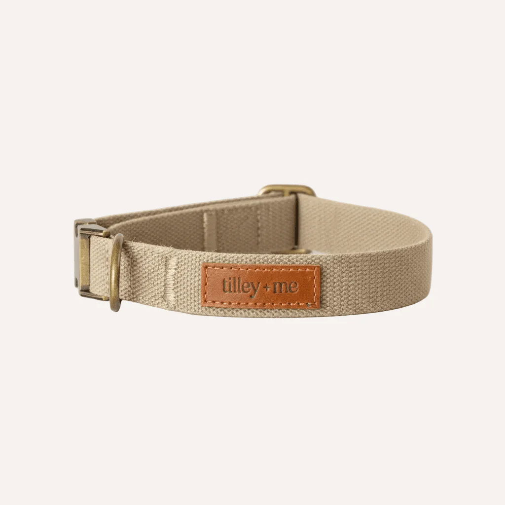 Tilley + Me Hemp Cotton Dog Collar – Durable, Adjustable, Soft – Joshua Tree - Image 5